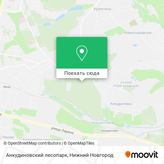 Карта Анкудиновский лесопарк