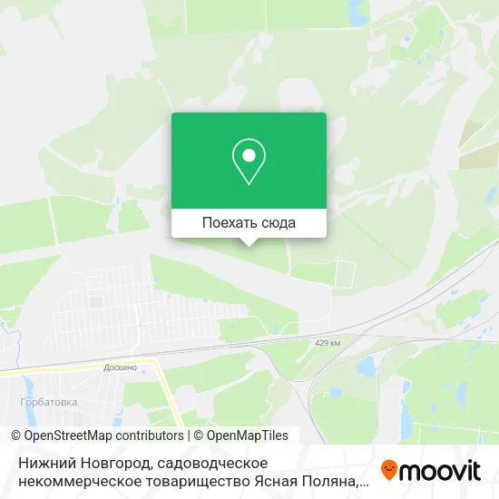 Карта Нижний Новгород, садоводческое некоммерческое товарищество Ясная Поляна