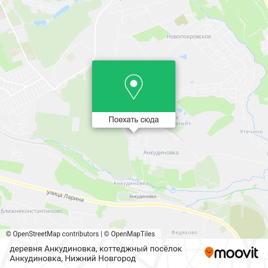 Карта деревня Анкудиновка, коттеджный посёлок Анкудиновка