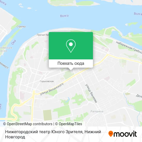 Карта Нижегородский театр Юного Зрителя