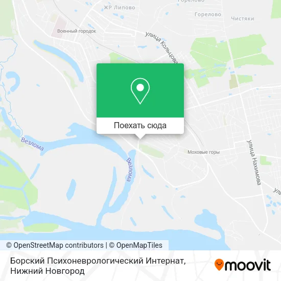 Карта Борский Психоневрологический Интернат
