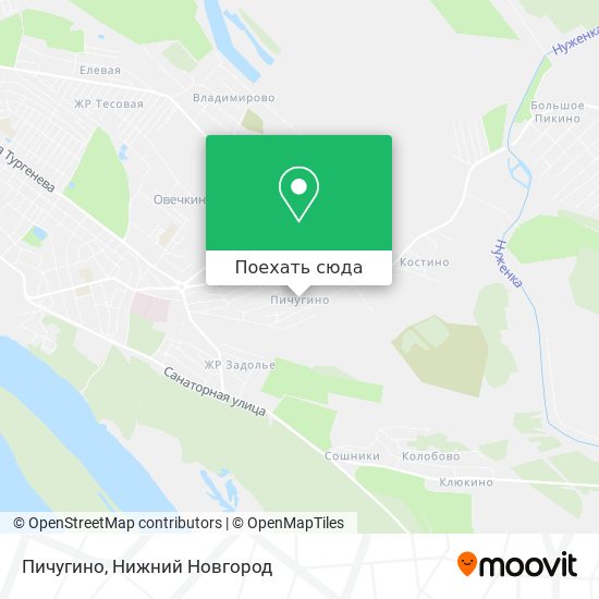Карта Пичугино