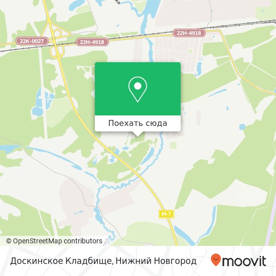Карта Доскинское Кладбище