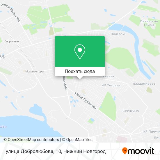 Карта улица Добролюбова, 10