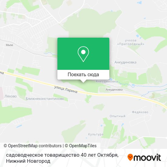 Карта садоводческое товарищество 40 лет Октября