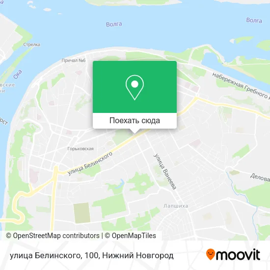 Карта улица Белинского, 100