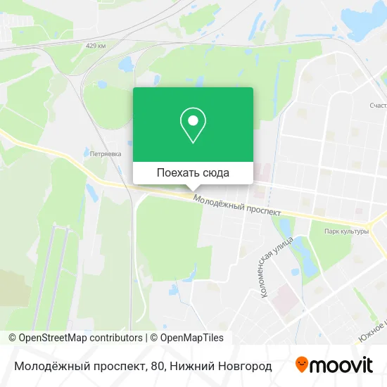 Карта Молодёжный проспект, 80