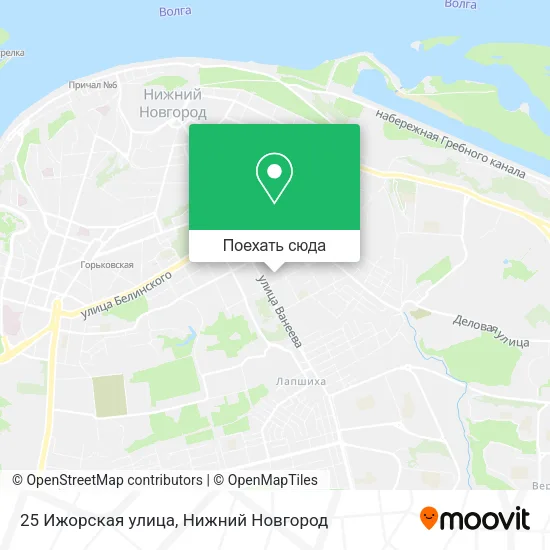 Карта 25 Ижорская улица