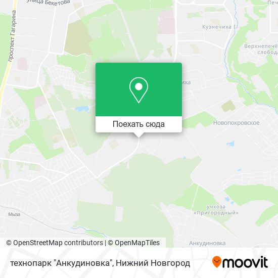 Карта технопарк "Анкудиновка"
