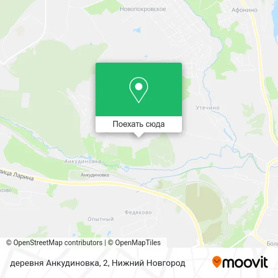 Карта деревня Анкудиновка, 2