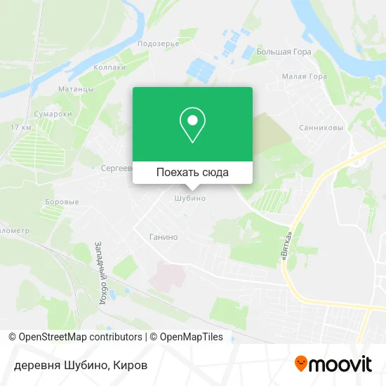 Карта деревня Шубино