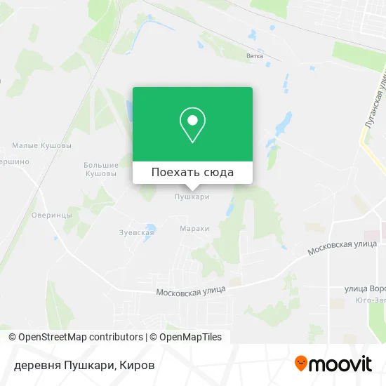 Карта деревня Пушкари