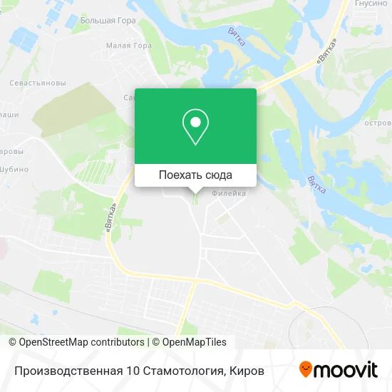 Карта Производственная 10 Стамотология