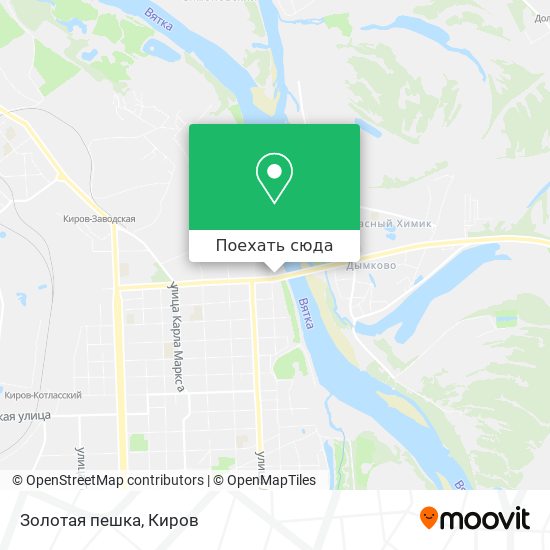 Карта Золотая пешка