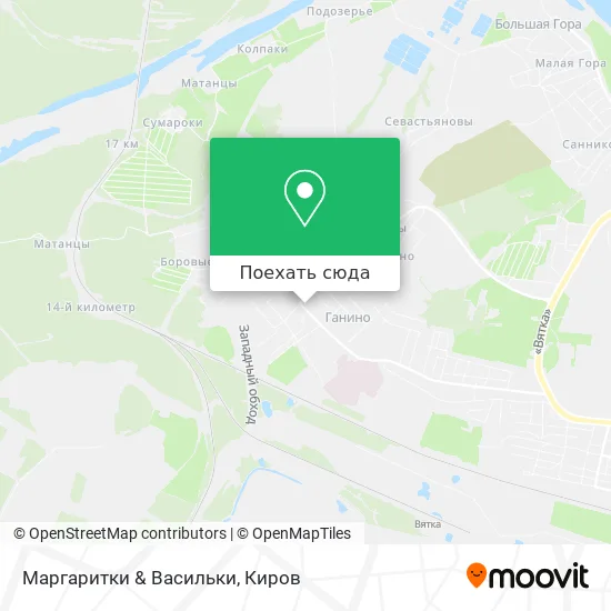 Карта Маргаритки & Васильки