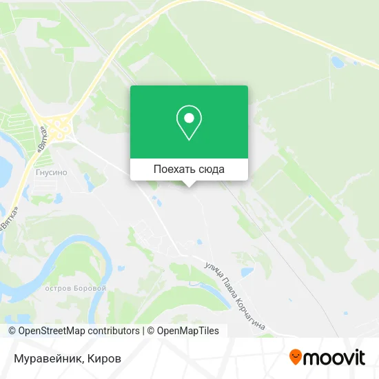 Карта Муравейник