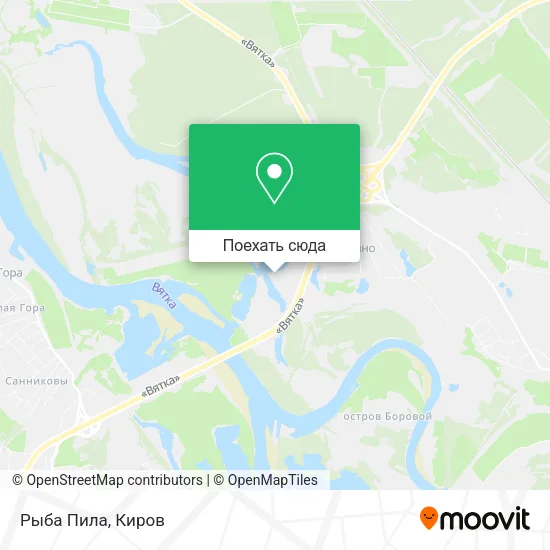 Карта Рыба Пила