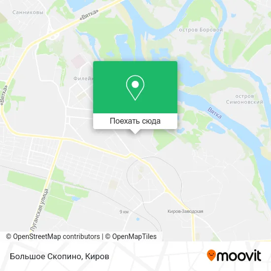 Карта Большое Скопино