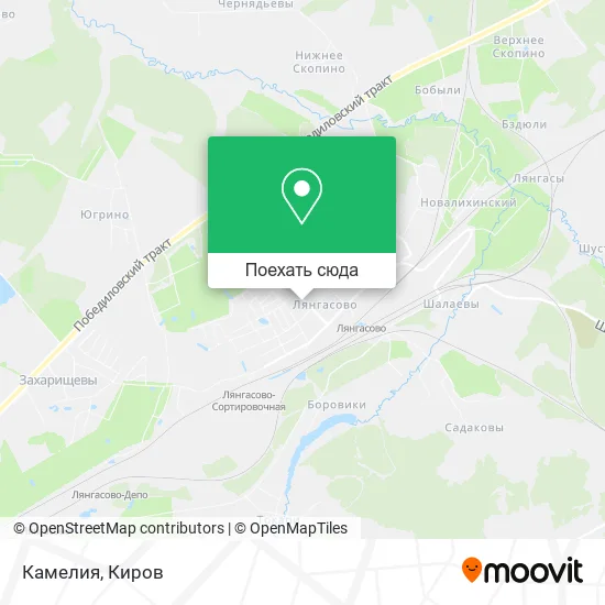 Карта Камелия