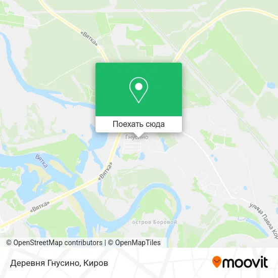 Карта Деревня Гнусино