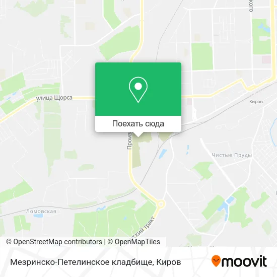 Карта Мезринско-Петелинское кладбище