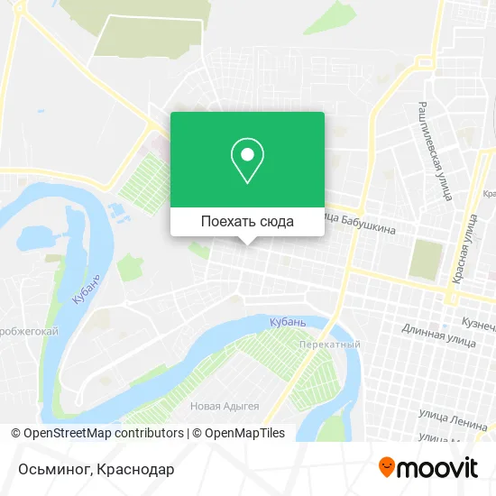 Карта Осьминог