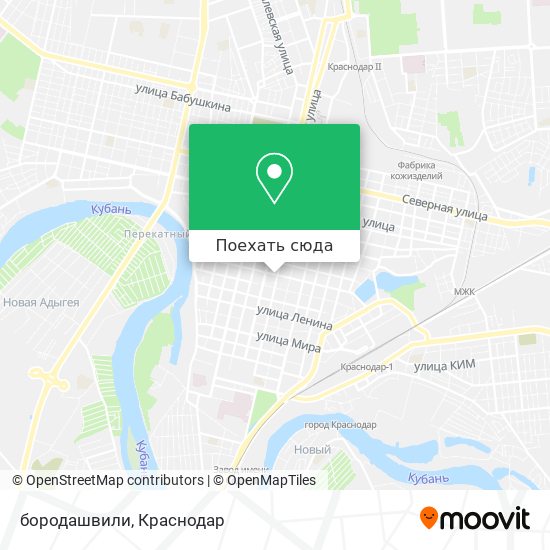 Карта бородашвили