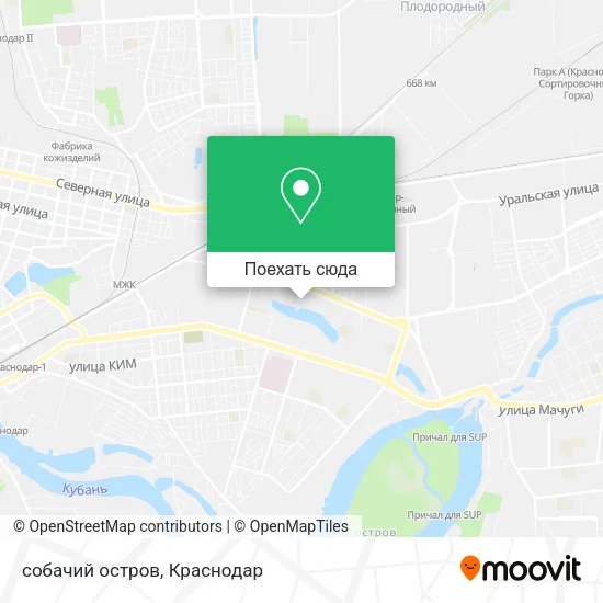 Карта собачий остров