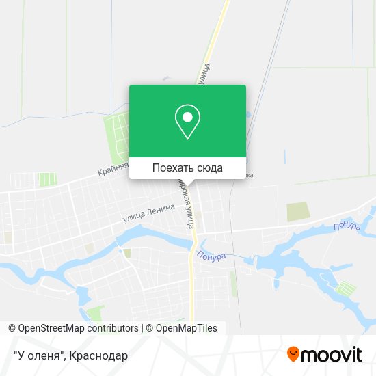 Карта "У оленя"