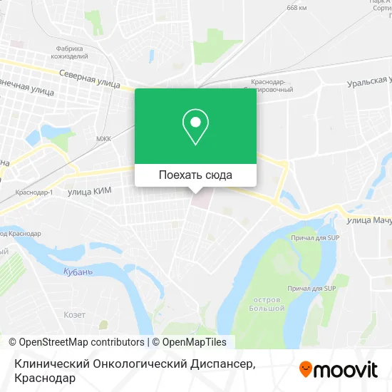 Карта Клинический Онкологический Диспансер