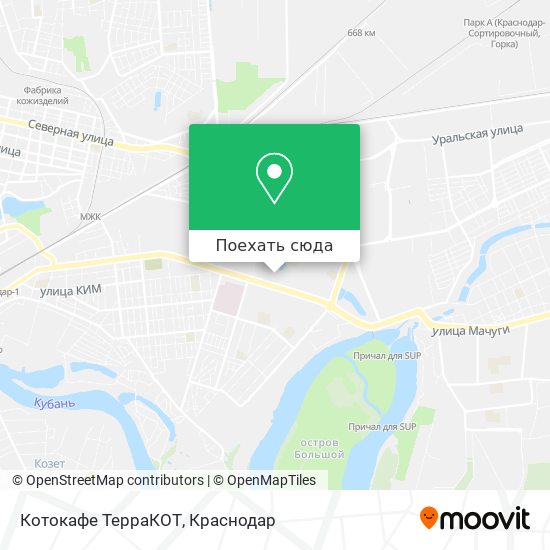 Карта Котокафе  ТерраКОТ