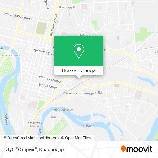 Карта Дуб ""Старик""