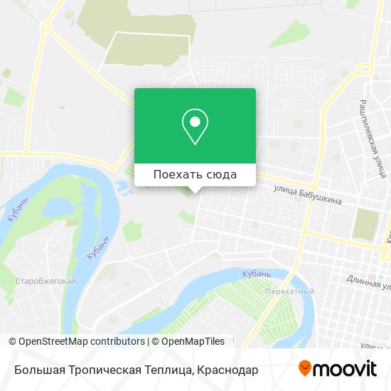 Карта Большая Тропическая Теплица
