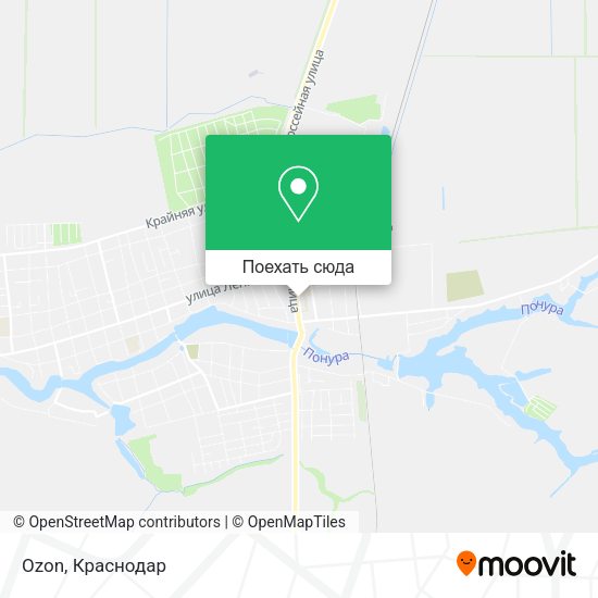 Карта Ozon