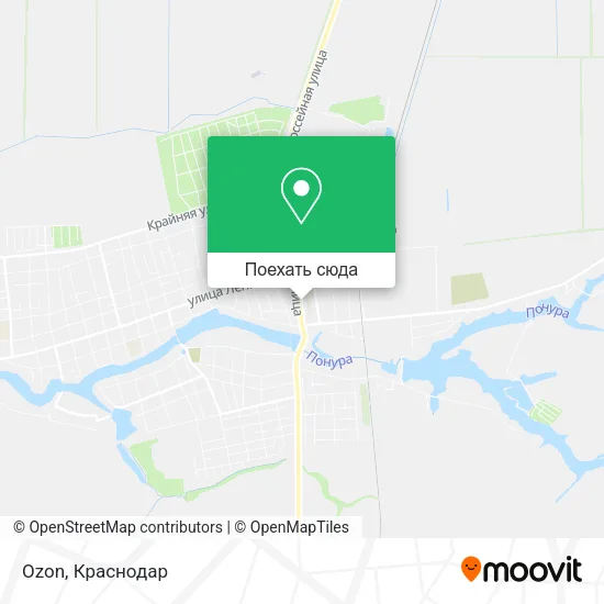 Карта Ozon
