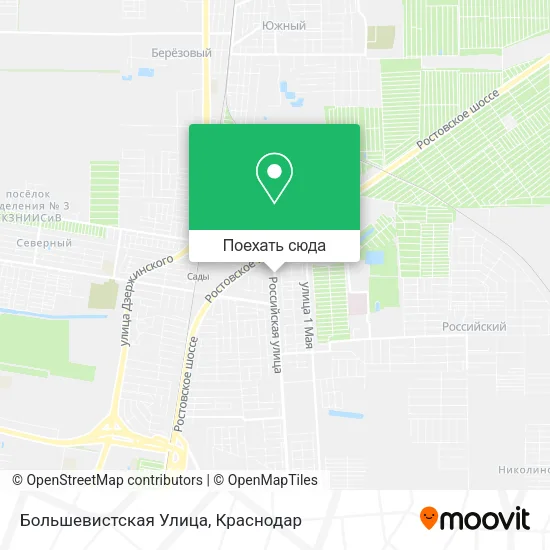 Карта Большевистская Улица