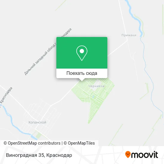 Карта Виноградная 35