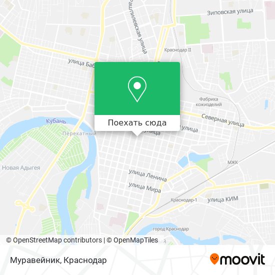 Карта Муравейник