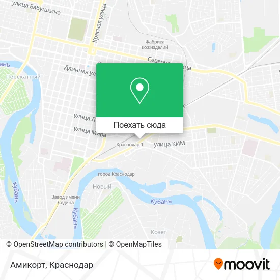 Карта Амикорт