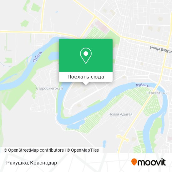 Карта Ракушка