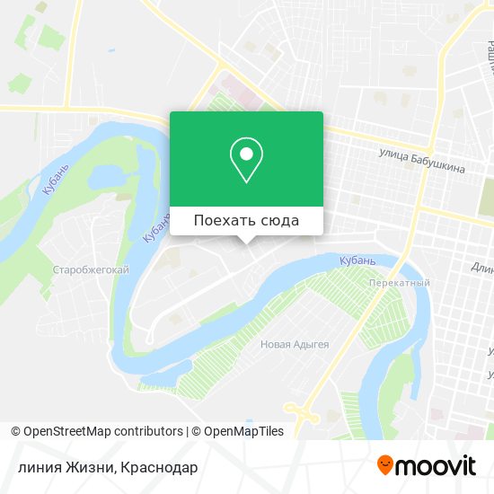 Карта линия Жизни