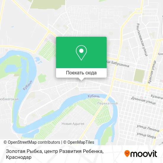 Карта Золотая Рыбка, центр Развития Ребенка