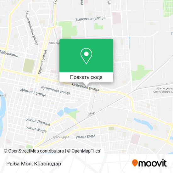 Карта Рыба Моя