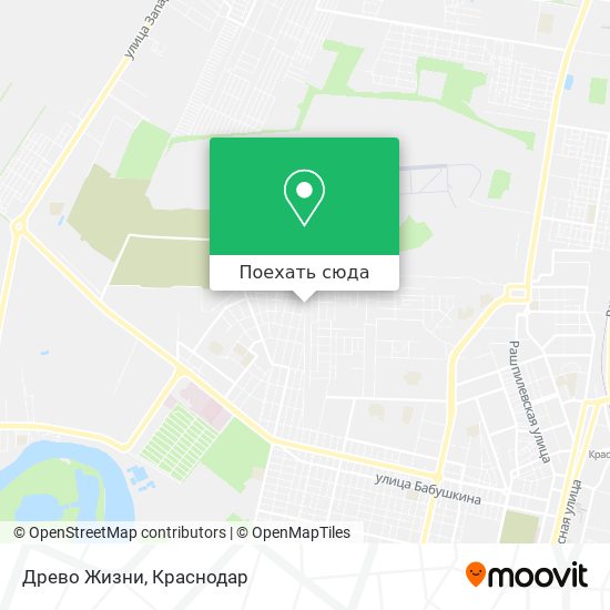 Карта Древо Жизни