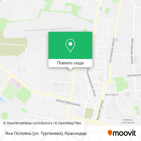 Карта Яна Полуяна (ул. Тургенева)