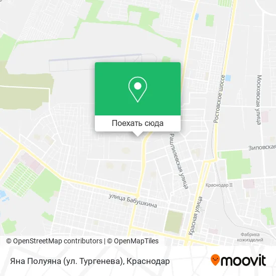 Карта Яна Полуяна (ул. Тургенева)