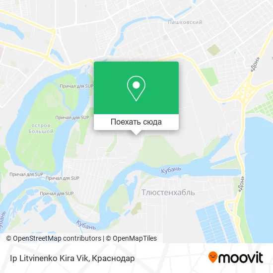 Карта Ip Litvinenko Kira Vik