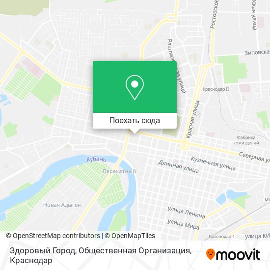 Карта Здоровый Город, Общественная Организация