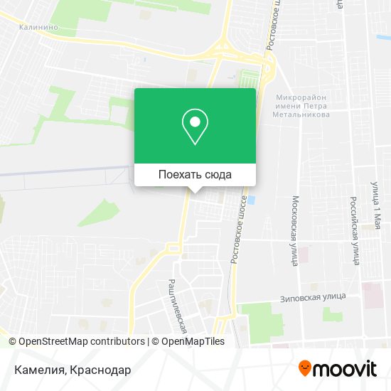 Карта Камелия