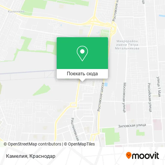 Карта Камелия